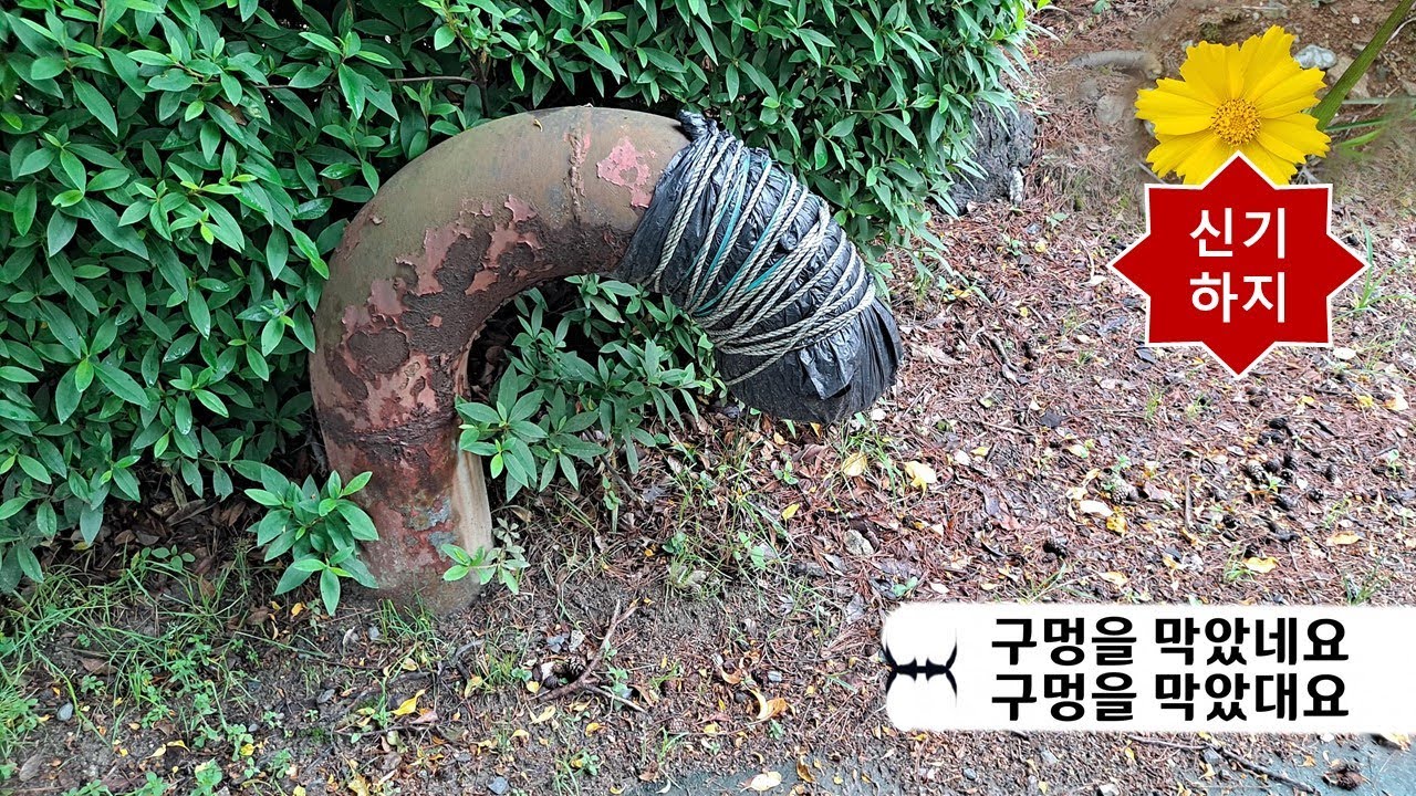 Learn Korean in the easiest way Study 대요, 래요, 재요.