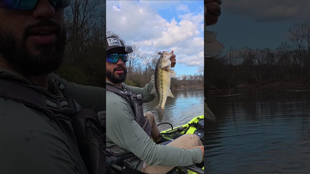 Эта свимбейт БЕЗУМНАЯ 