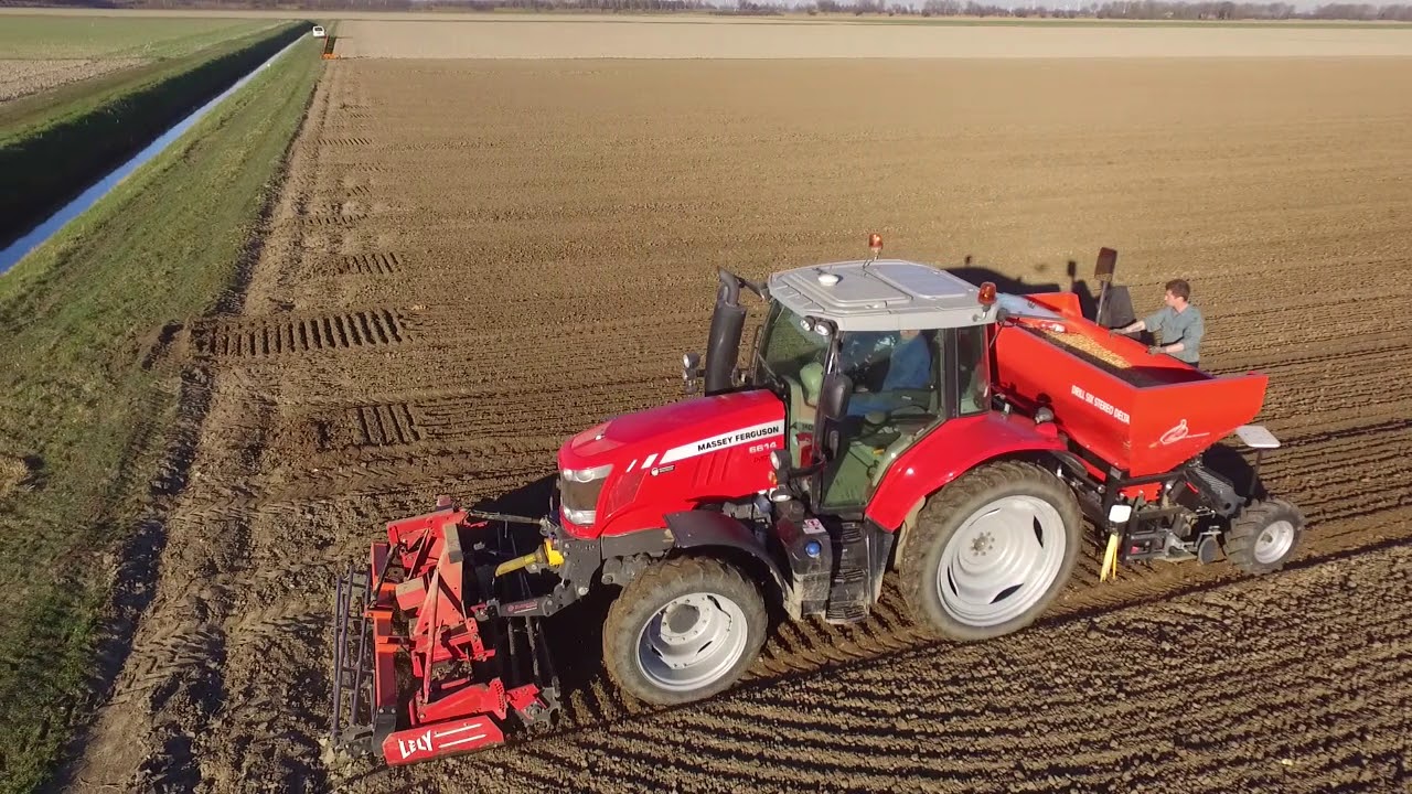 Uien Planten