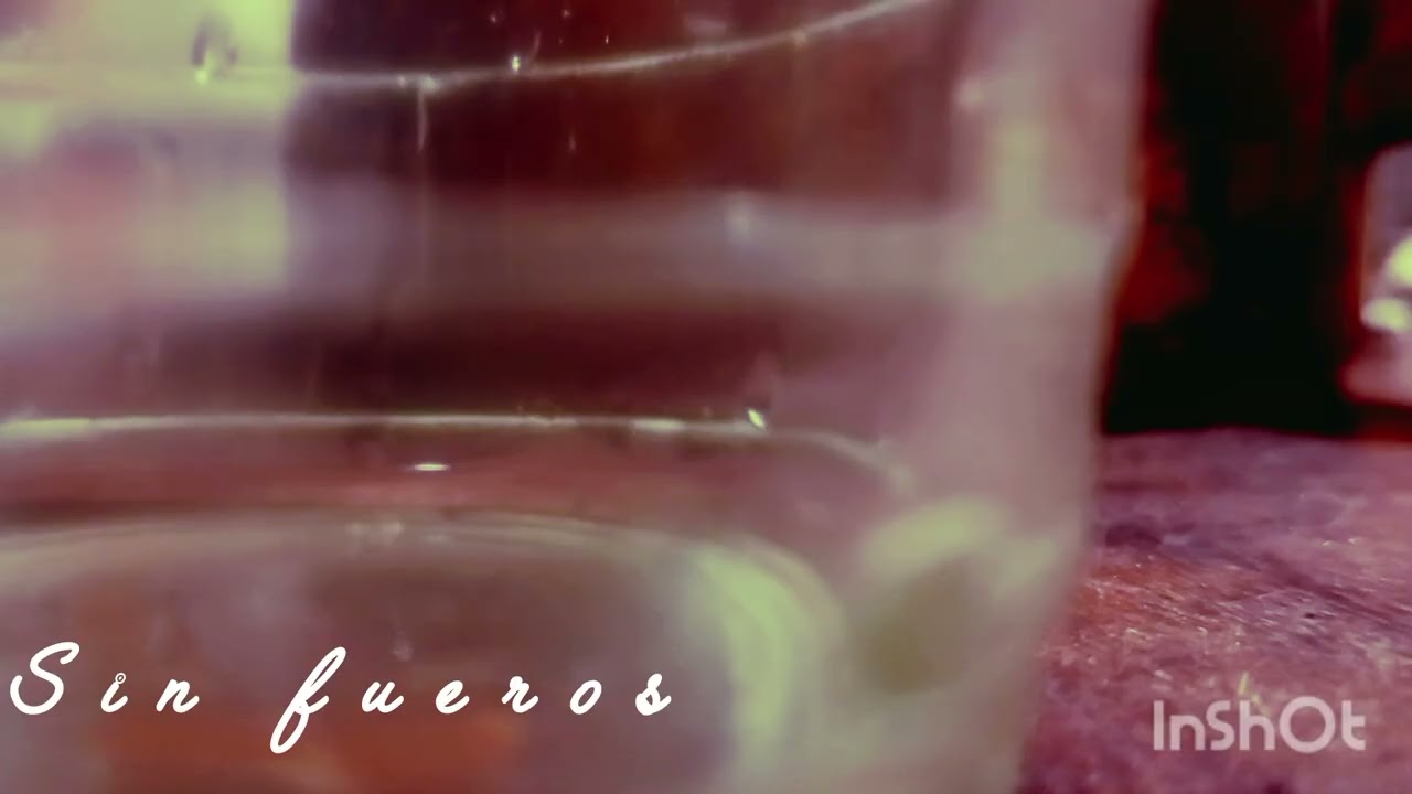 Sin fueros