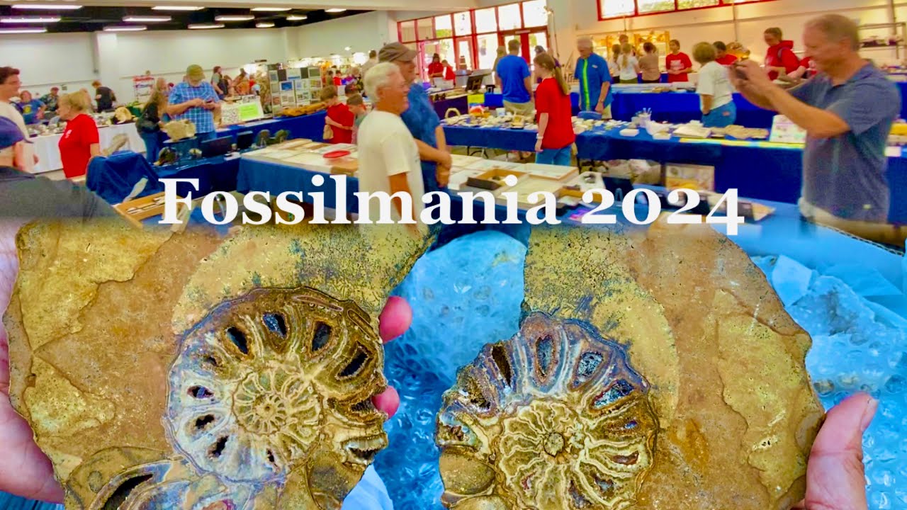 Fossilmania 2024 in Glen Rose, Texas