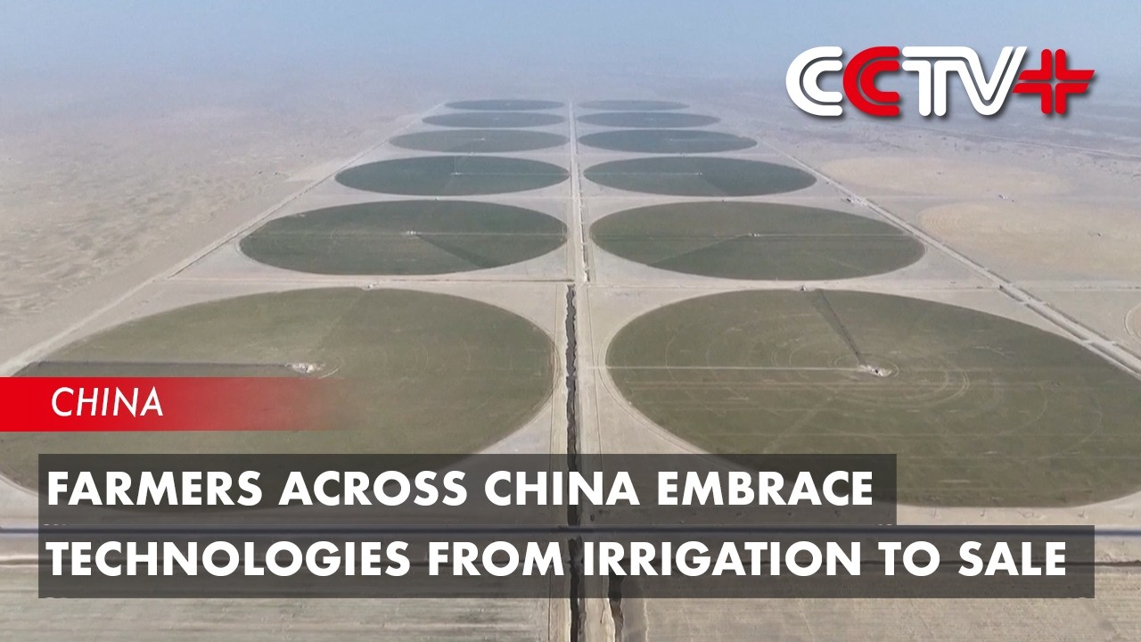 Farmers Across China Embrace Technologies from Irrigation to Sale
