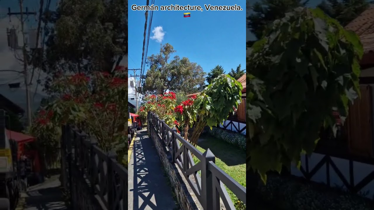 🇻🇪 Unseen German community in VENEZUELA #walkingtour #venezuela #coloniatovar
