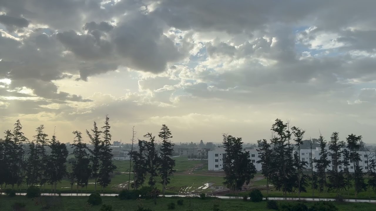 Туманное утро на о. Кипр 🌫️ Спокойные звуки природы для сна, релакса и работы