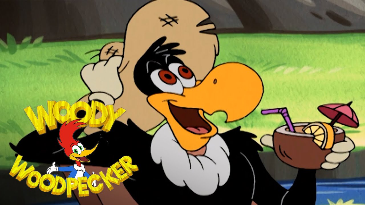 The Stupidest Bird in the Animal Kingdom | Woody Woodpecker