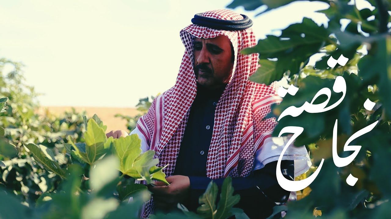 قصة نجاح | #مزرعة الصنيتان بمنطقة #القصيم