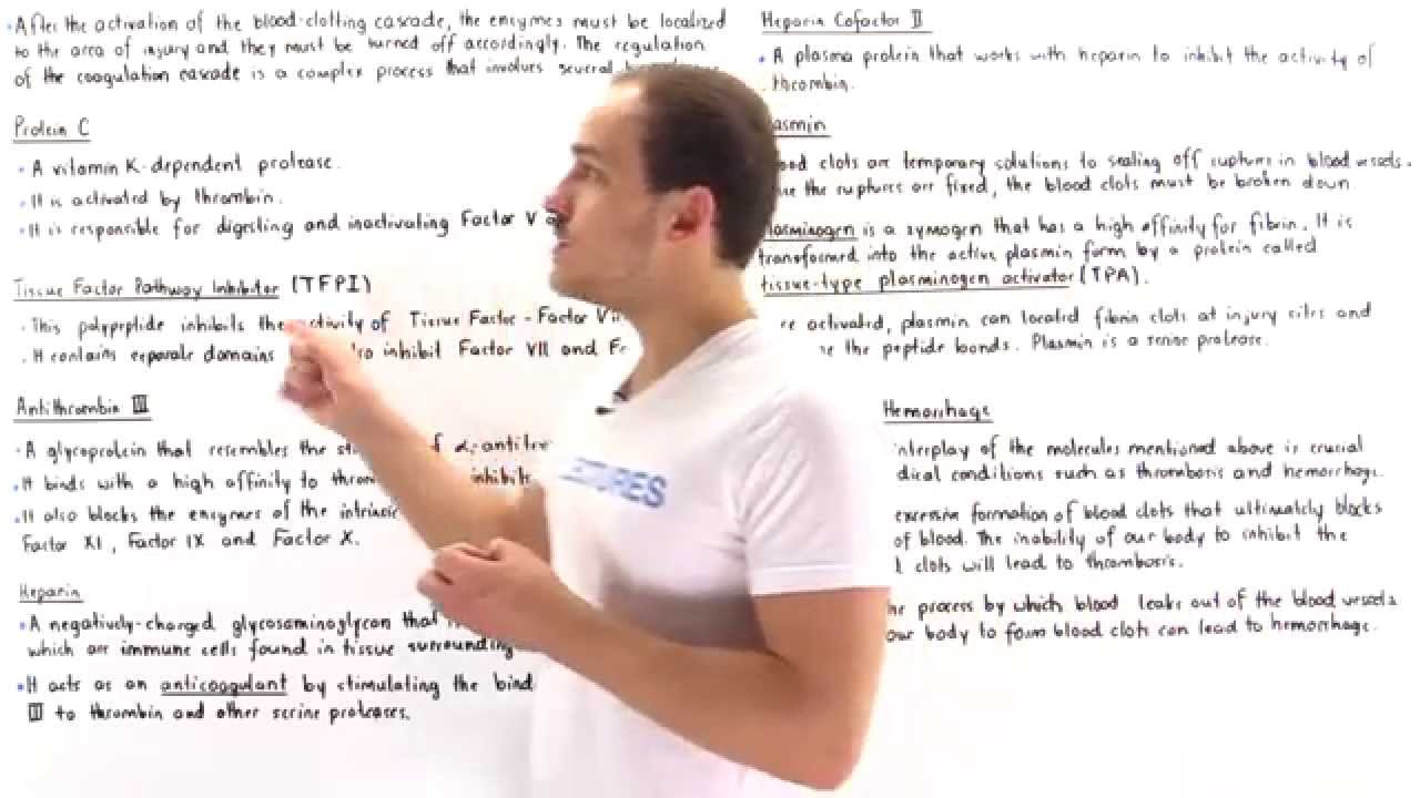 Inhibition of Coagulation Cascade