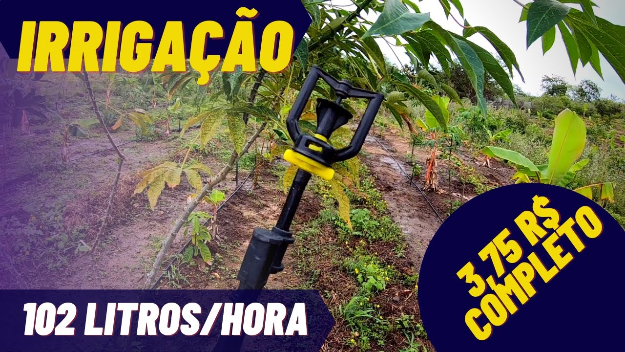 IRRIGAÇÃO COM MICROASPERSOR BAILARINA | 102-130 L/h para minha plantação!