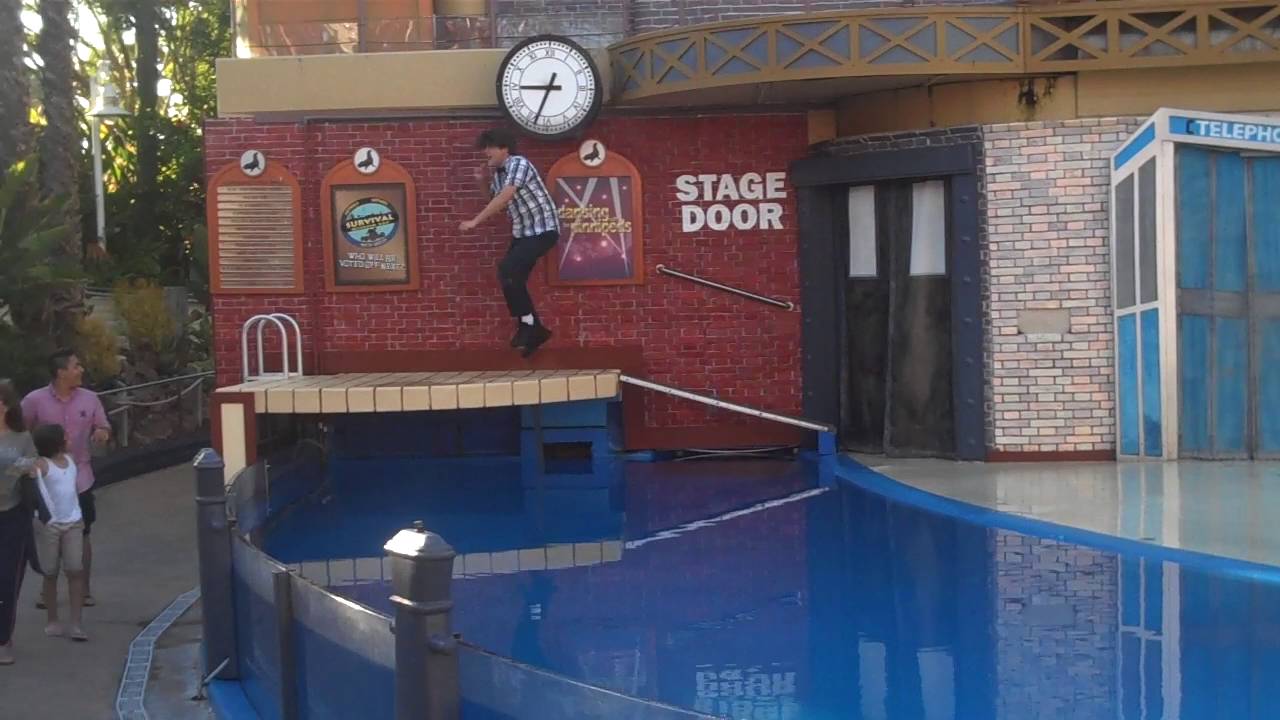 Sea Lions Tonite! - Full Show - 2014