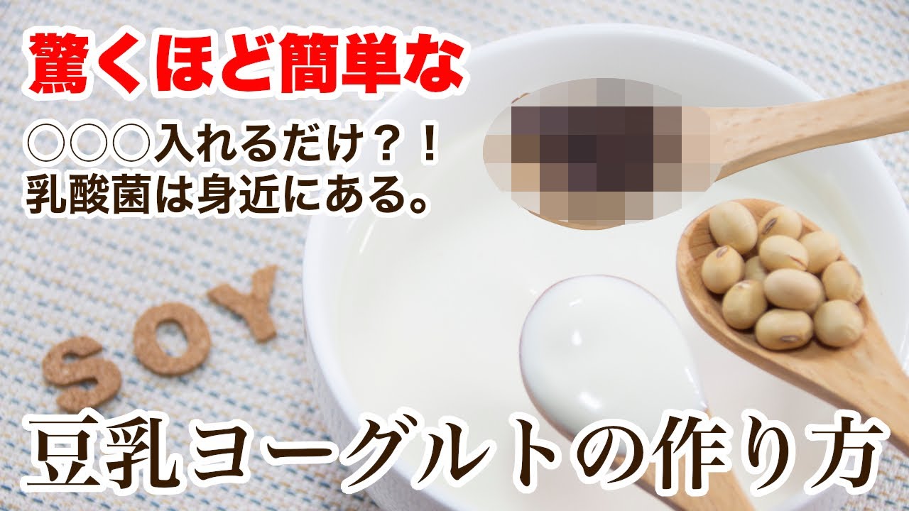 豆乳ヨーグルトが出来る仕組みを解説！意外な食べ物で豆乳ヨーグルトを作ることができます！【ヴィーガン Vegan】豆乳ヨーグルトの作り方