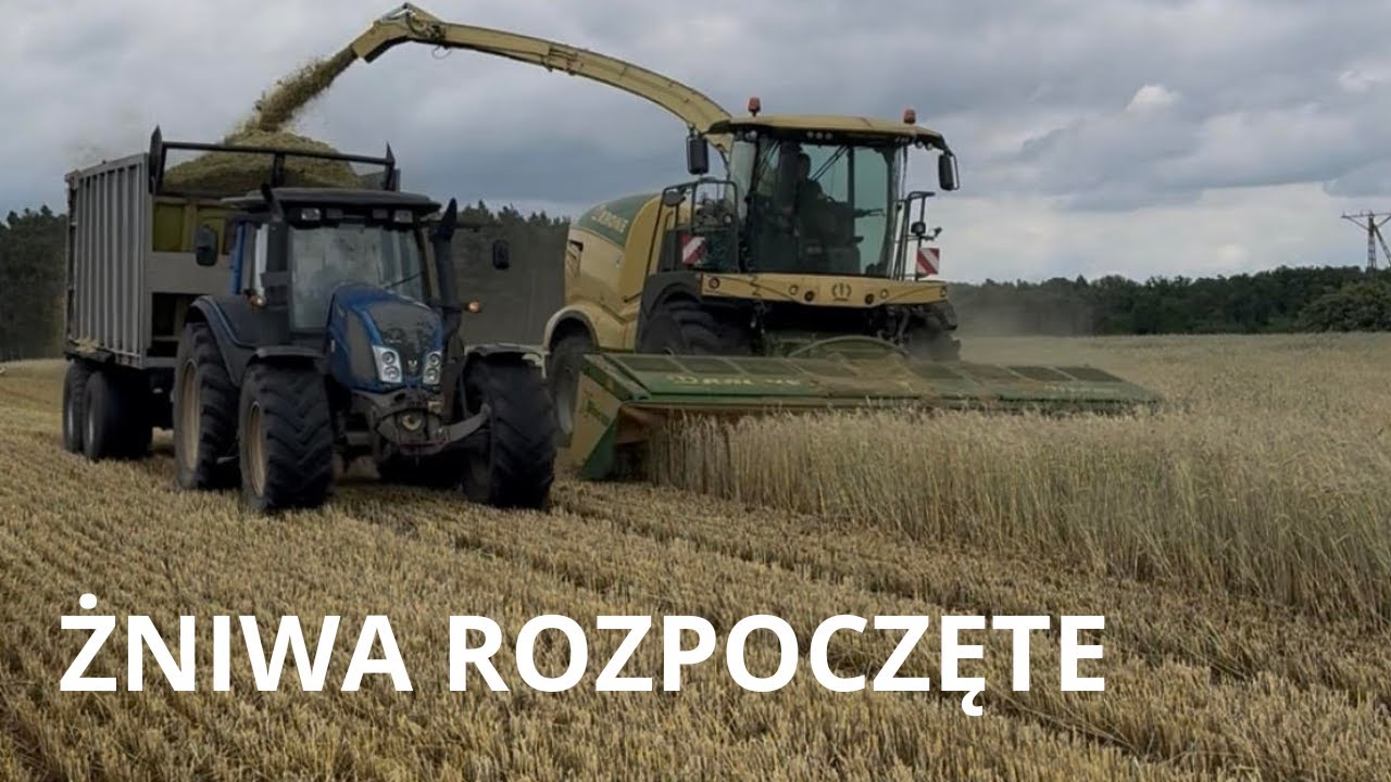 Pierwsze żniwa w tym roku rozpoczynamy od żyta na GPS. Oddaje ponad 17 ton.