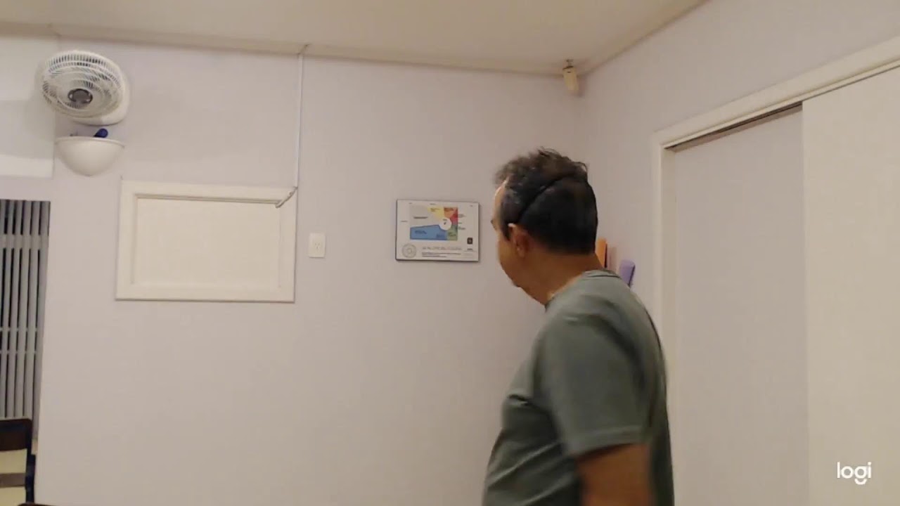 Vivendo seu Corpo de Luz