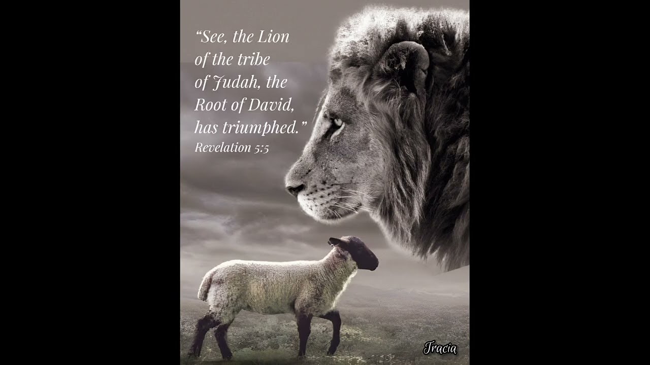 Lion of Judah (Ray Boltz)