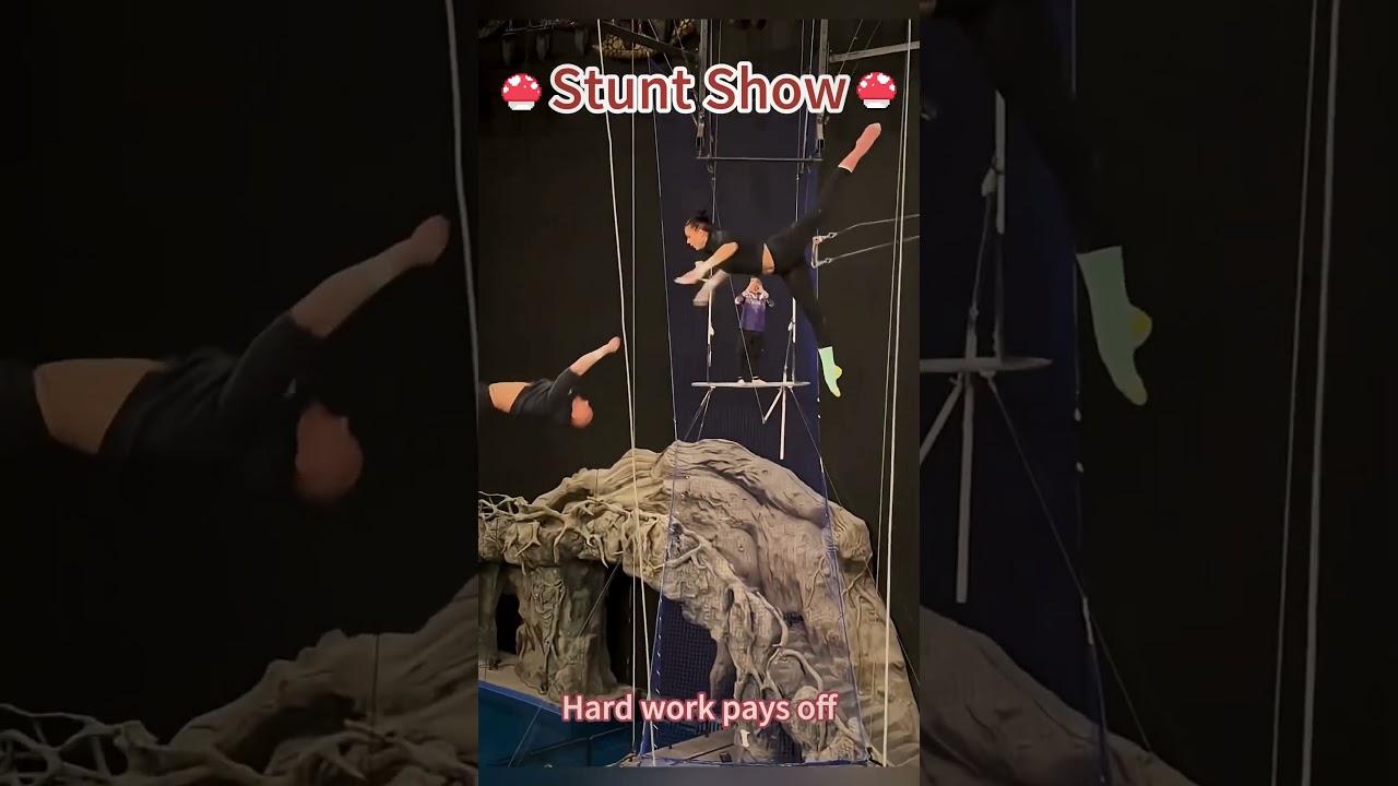 stunt show #EpicStunts #AdrenalineRush #MindBlowingStunts #ActionPacked #StuntSpectacle