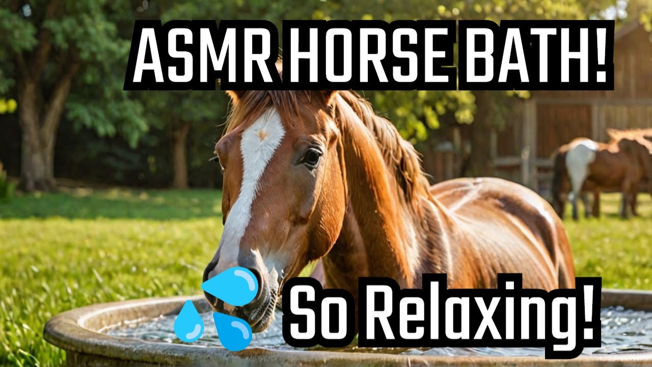 ASMR-ванна для лошадей! 🐎 Смотрите расслабляющий спа-уход Дакоты с новым оборудованием!