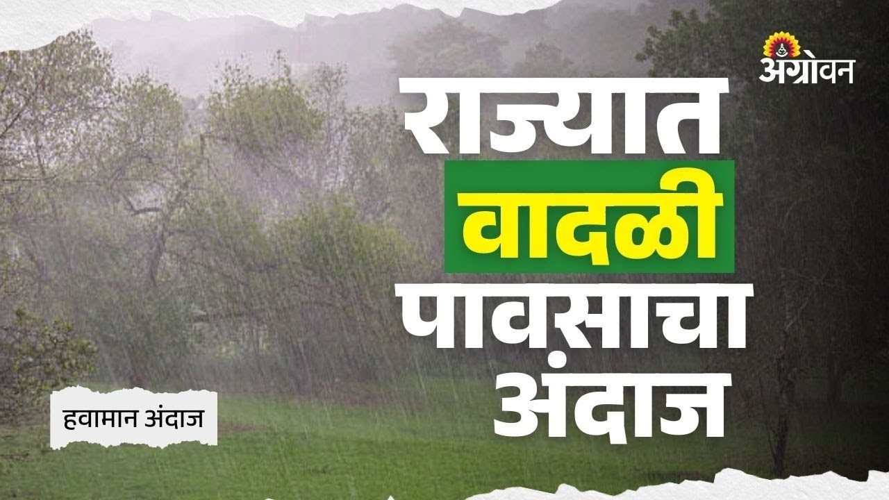 Rain Alert : विदर्भ, मराठवाड्यात पावसाची शक्यता; कोकणात उष्णतेची लाट | Agrowon