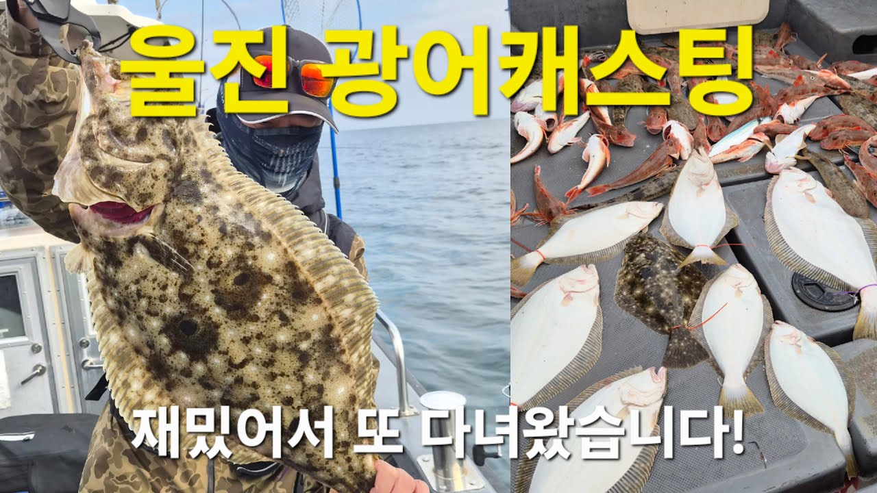 🔥울진 광어캐스팅 두번째!🔥너무 재미있어서 또 다녀왔습니다! #광어낚시 #광어루어 #광어캐스팅 #광어다운샷 #울진낚시 #루어낚시 #낚시 #fishing #동해낚시 #