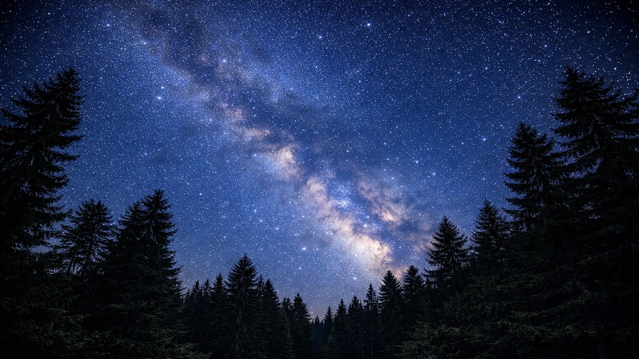 Forest Night Under the Stars (4 Hours) | Crickets & Nature Sounds for Sleep