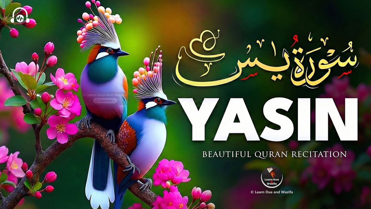 Surah Yasin (Yaseen) for Healing | Relieve Stress, Depression & Anxiety | سورة يس | #surahyaseen