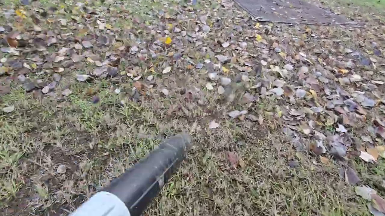 Stihl BGA 250 with AP300S battery