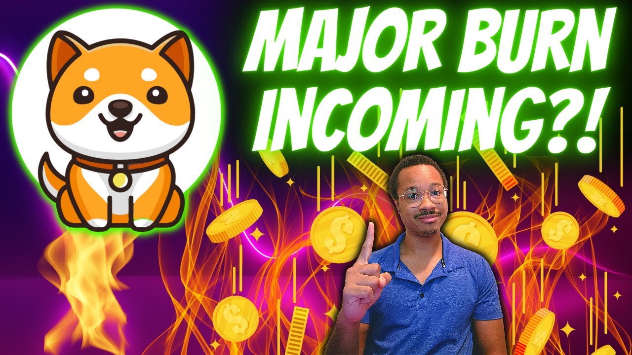 BABY DOGE COIN MAJOR BURN INCOMING! New Support Levels Soon To Come?