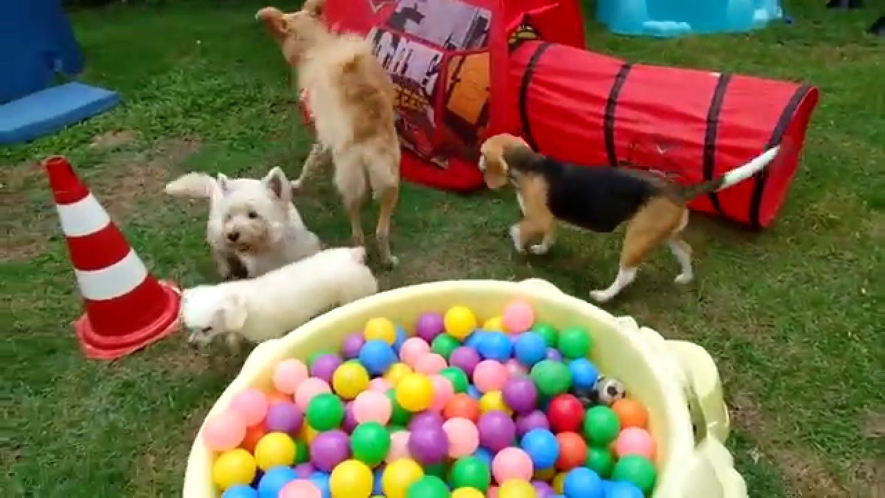 C&Atilde;O FOLIA 2 COM &Aacute;REA DE LAZER CADA DIA MAIS LINDA PARA RECEBER NOSSOS HOSPEDES NO CARNAVAL 2016
