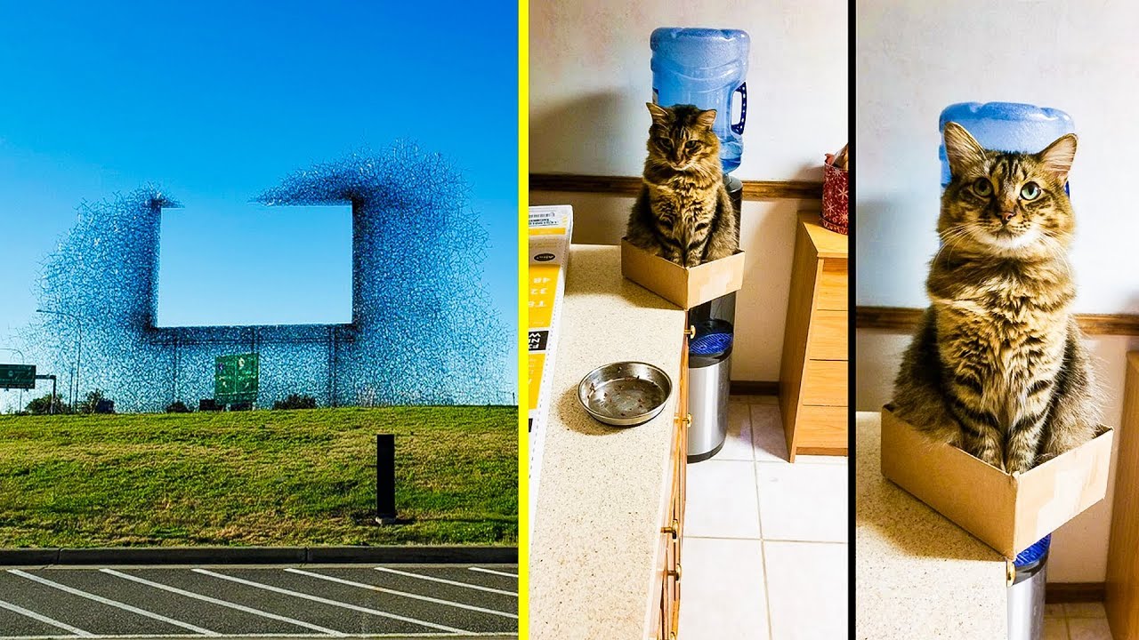REAL PHOTOS THAT CAN MAKE YOUR HEAD SPIN 「 BossDT 」