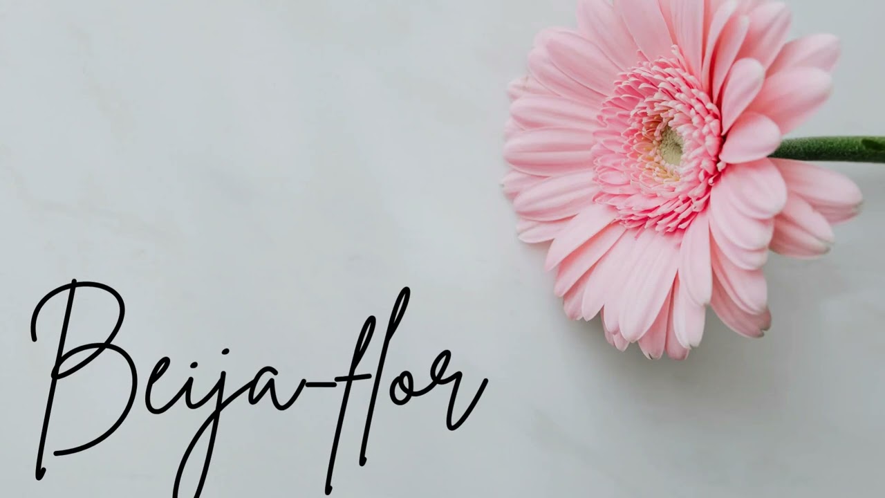 Beija-flor 