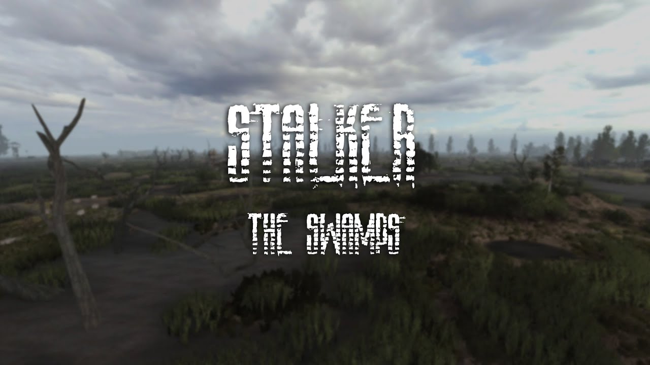 Stalker Anomaly Ambience - Big Swamps - Ambient sounds for studying and working - Dark Atmosphere