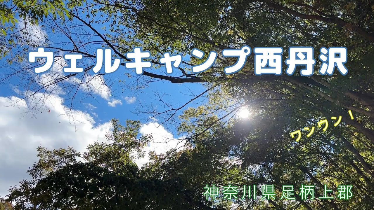 【冬のウェルキャンプ西丹沢】冬ですが、夏に行きたいキャンプ場に行って来ました！