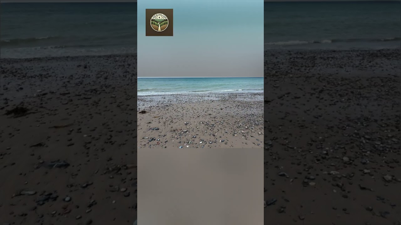 Beach Camping Alert: High Tide Risk & Weather Report! #shorts