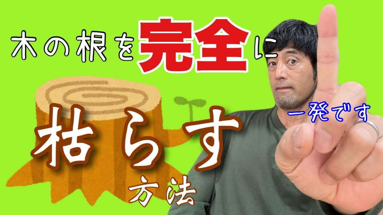 【木の根枯らす】枯らせば10倍楽に抜根できる！