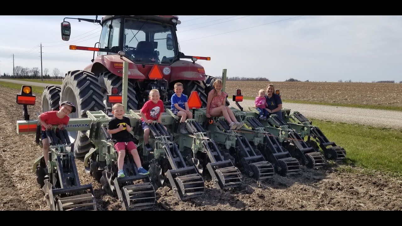 Freshening Strips with an Orthman 1tRIPr