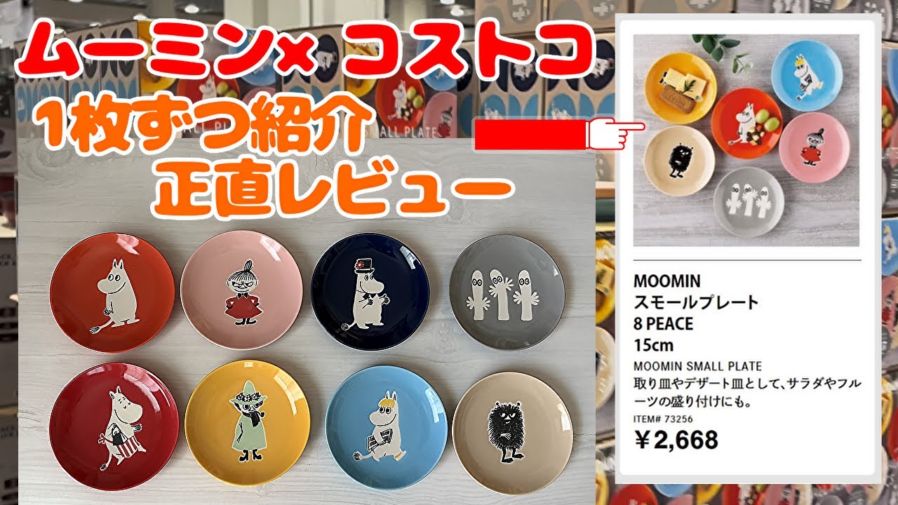 【正直レビュー】ムーミン×コストコ 小皿 スモールプレート 8枚セット【食器】【購入品】