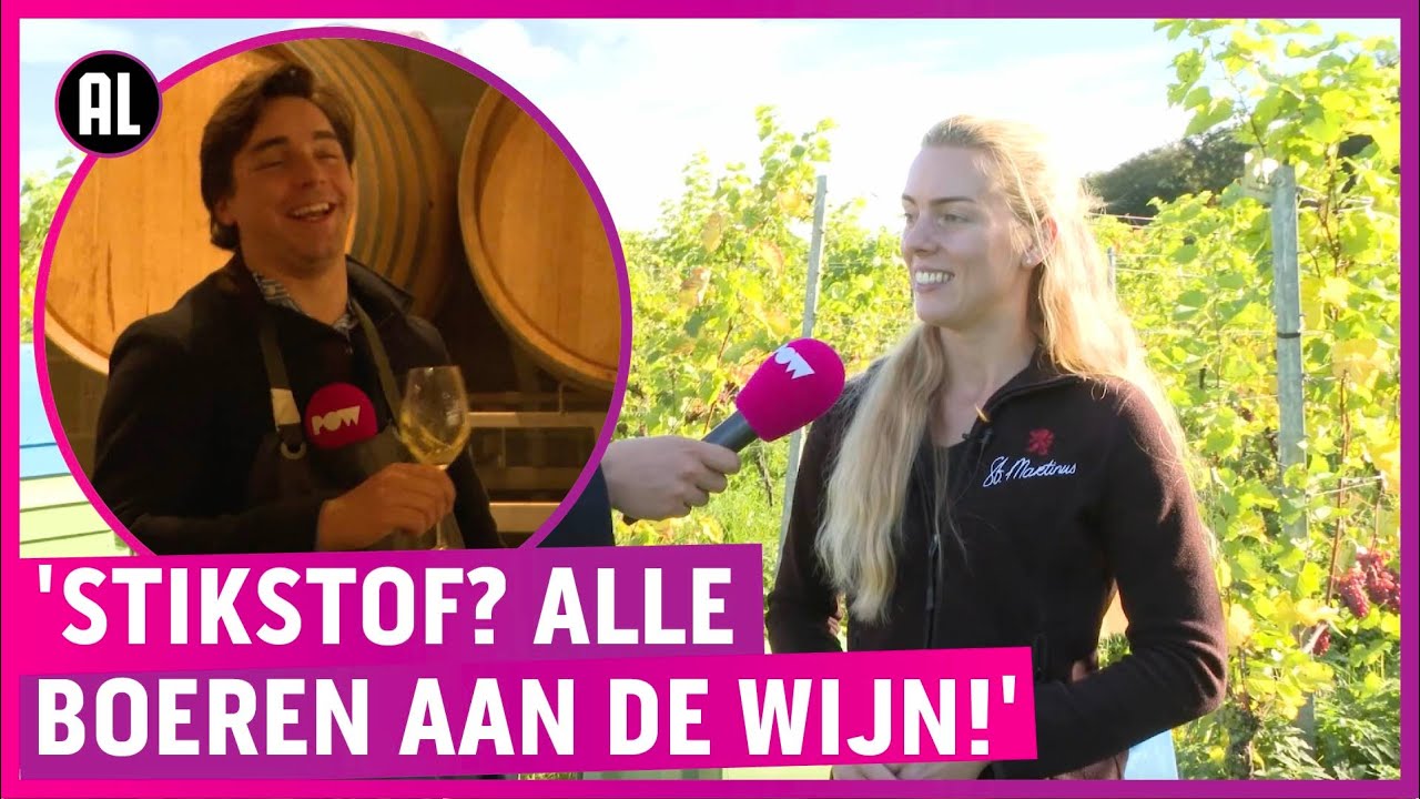 Steeds meer én betere Nederlandse wijn: 'Heeerrrrlijk!'