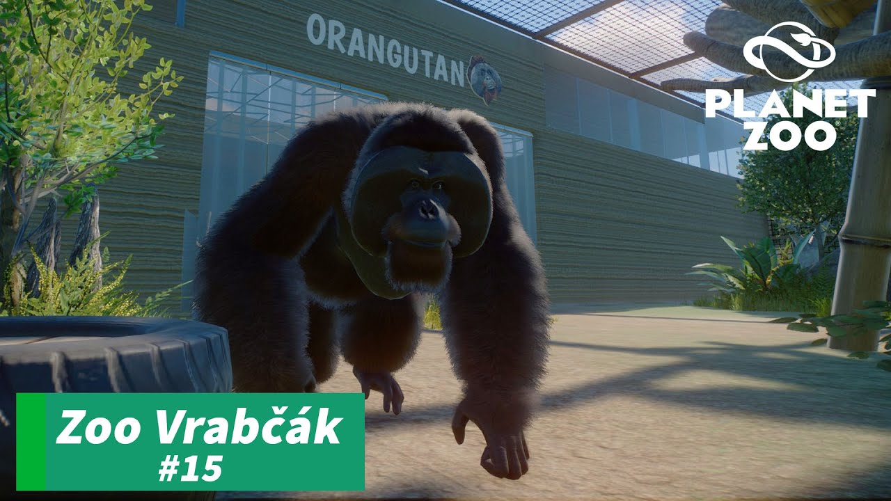 Orangutan - Zoo Vrabčák - #015 - Planet ZOO CZ