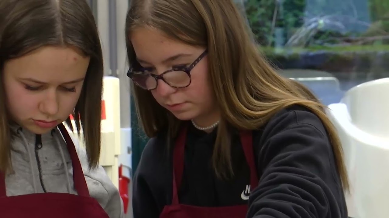 Découvrez la formation en alternance, en province de Luxembourg