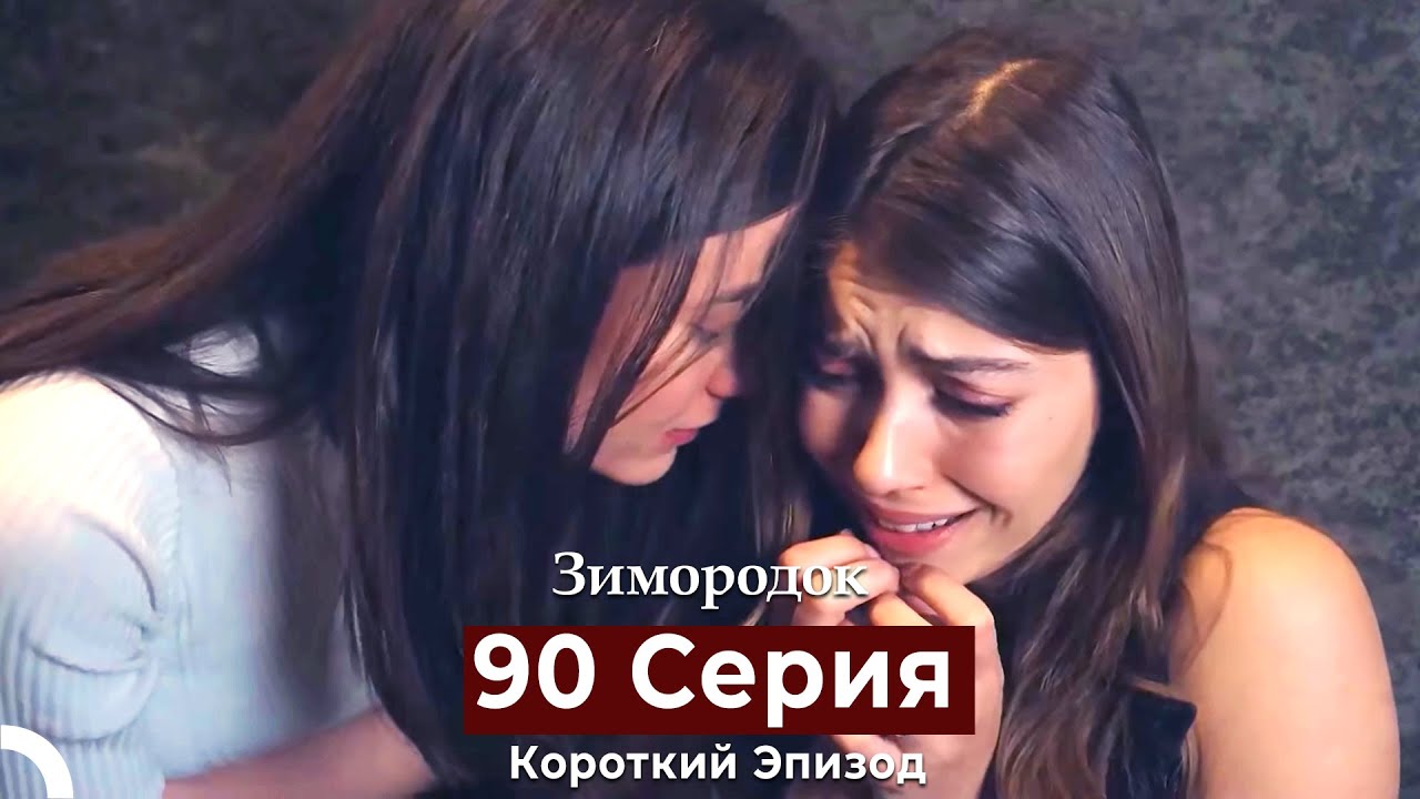 Зимородок 90 Cерия (Короткий Эпизод) (Русский дубляж)