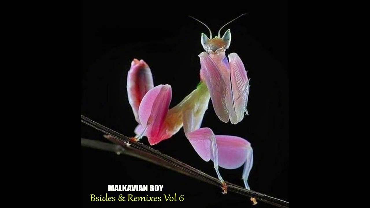Malkavian Boy - Both sides of the truth Pt.1