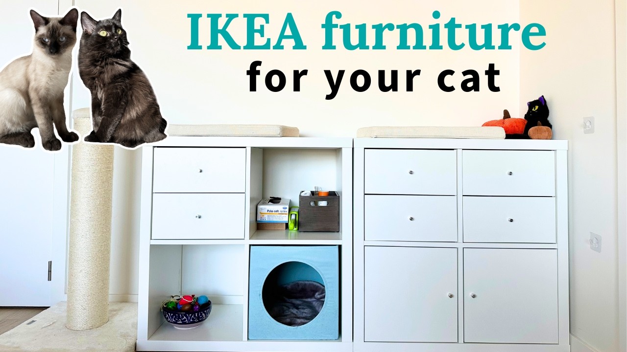 Best IKEA Furniture For Cats | IKEA Furniture You and Your Cats Will Love
