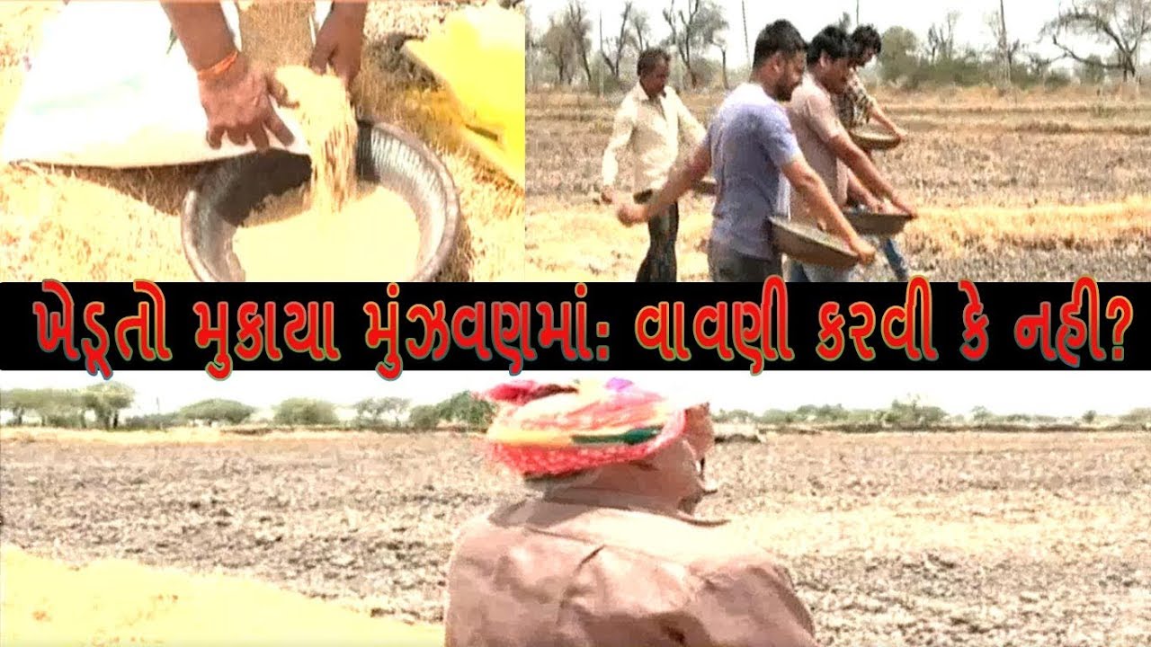 Weather Report: Farmers in Tensed Waiting for Rainfall; Confused for Cropping | Vtv News