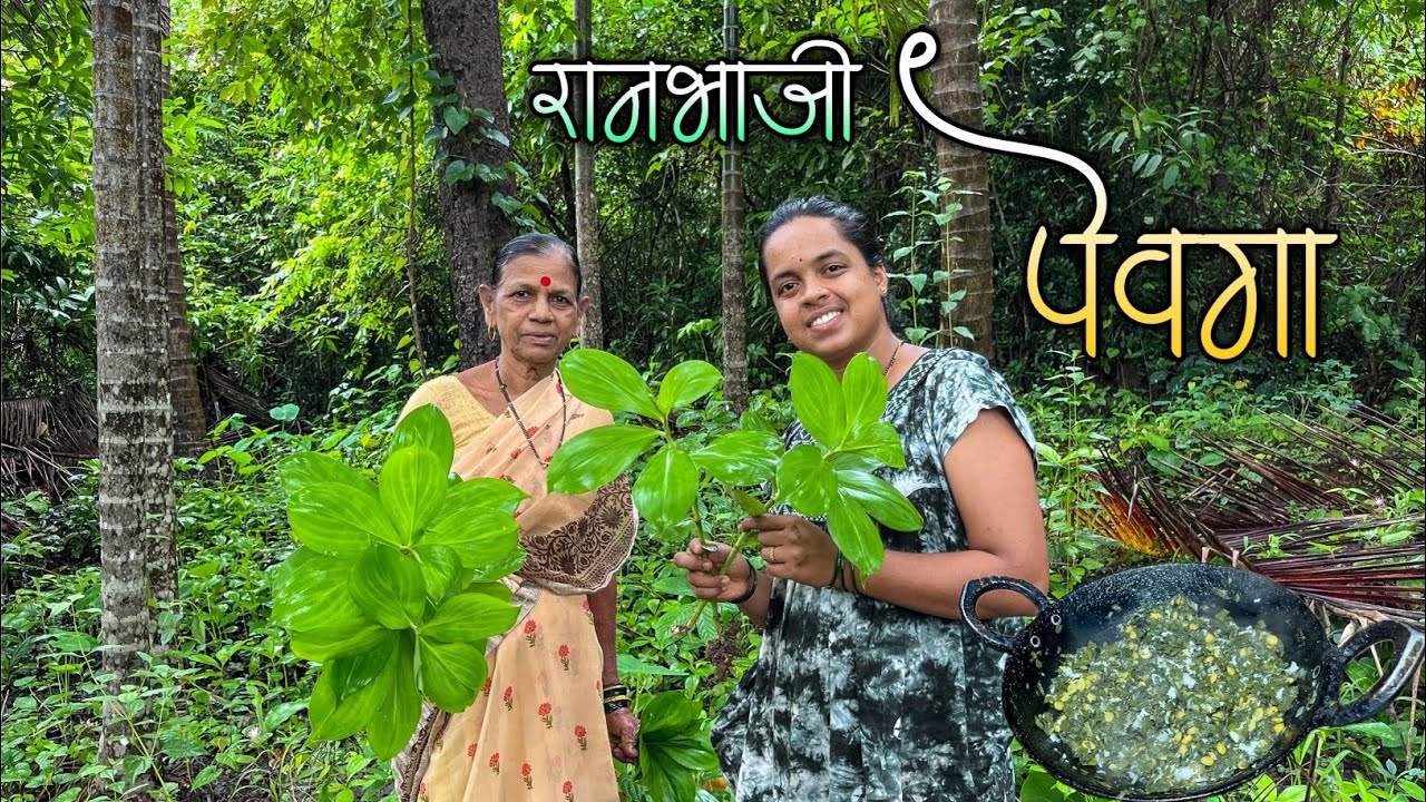 पेवग्याची रानभाजी कशी ओळखायची ?|कोकणातील जंगलात मिळणारी "पेवगा" भाजी|घरी येऊन आरुश्री ने बनवली भाजी