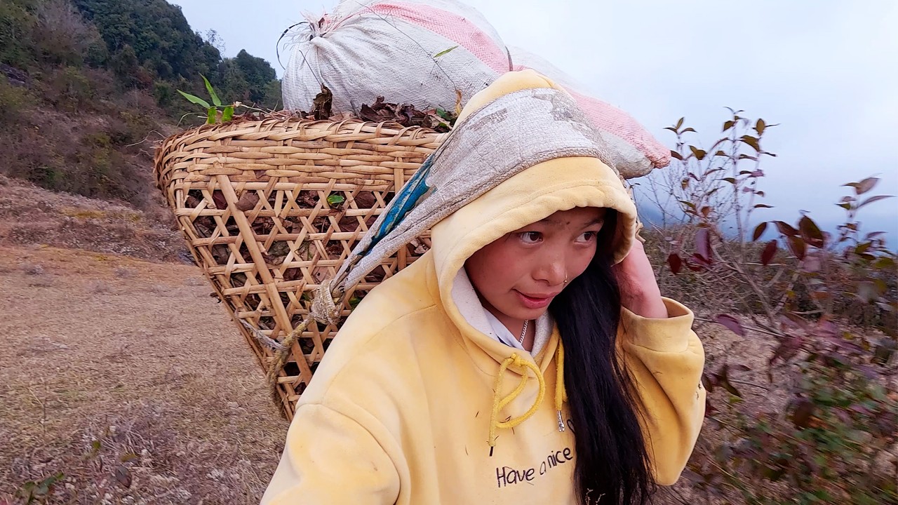 manjita Rai , Himalayan beautiful young woman || shepherd life of Nepal || life in the village
