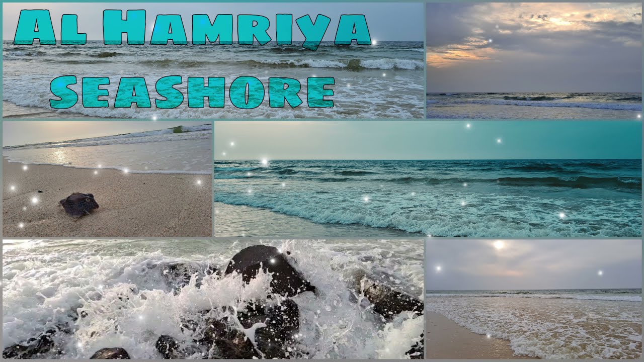 Hidden beach in UAE | ASMR | Natural Relaxation video - Sea Ocean Waves Sounds | Sisy Bytes