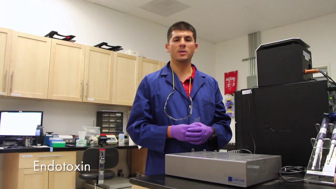 Nanoparticle Characterization- a tutorial