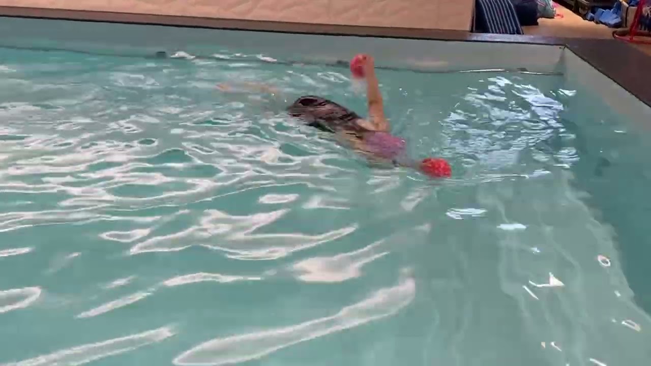 Swimming #margo_coach_vip 
