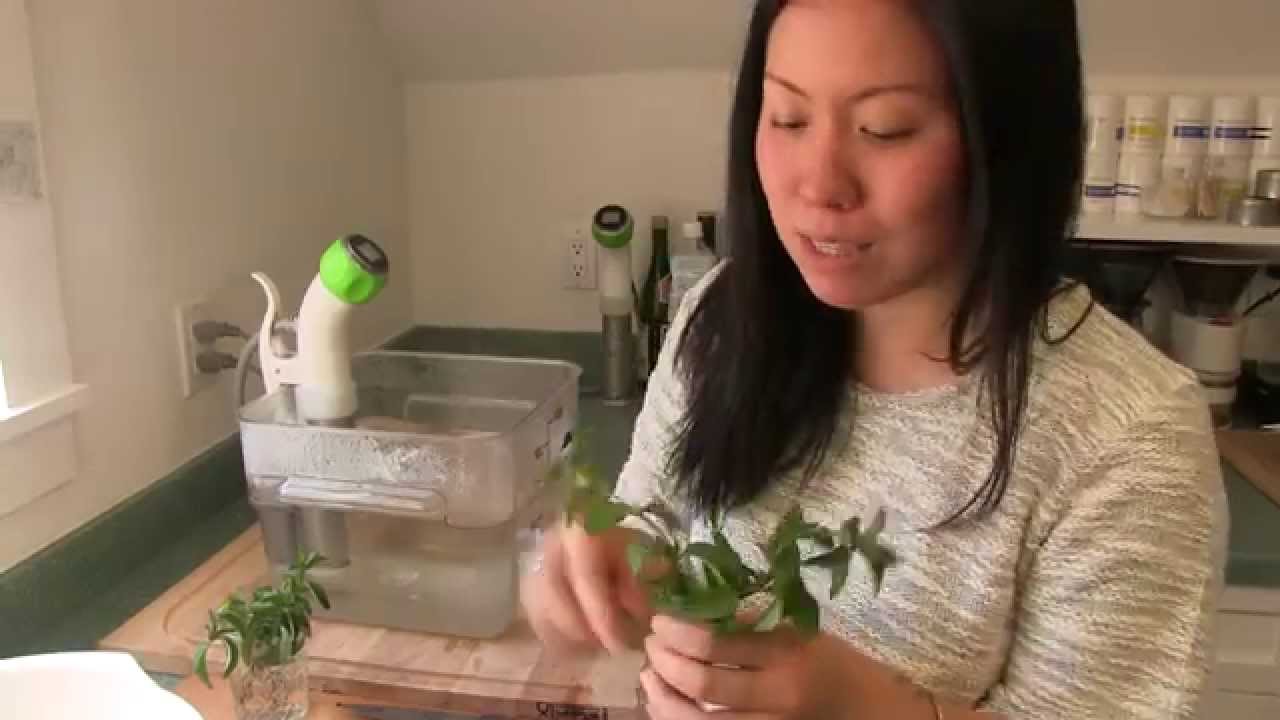 Sous Vide Ice Cream with Fresh Mint