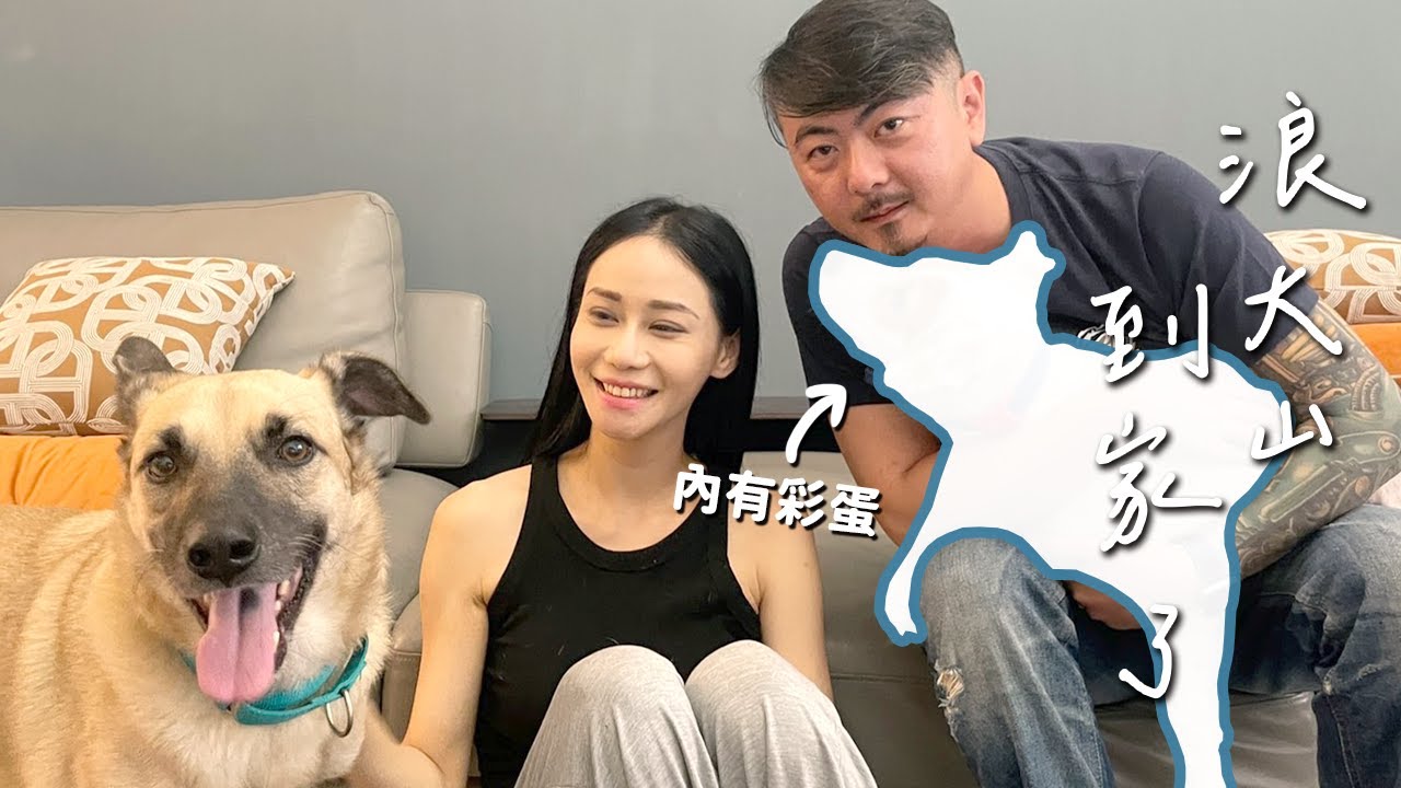 三條腿的浪浪被原放前夕奇蹟似的被領養了！