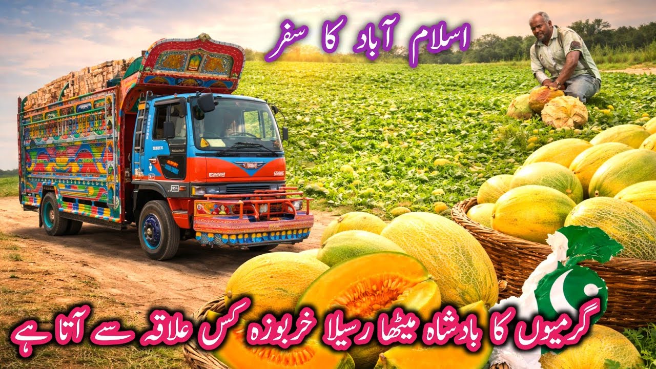 Where does sweet juicy melon come from?||sunye truck driver Ki zubani||Chalta Phirta Tv 