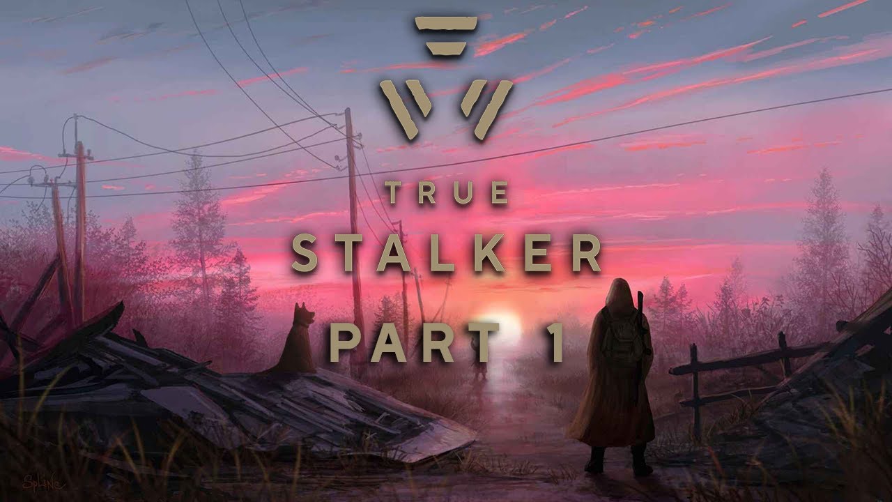 #1 Dreams of The North, новый опыт STALKER! | True Stalker (прохождение вслепую)